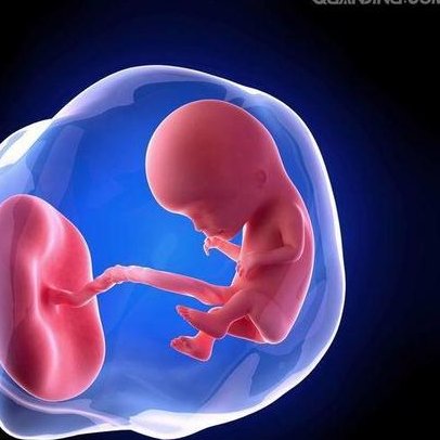 洛阳哪家助孕机构口碑最佳？揭秘洛阳三大热门助孕公司榜单