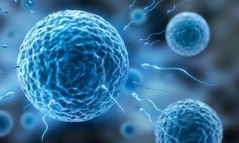 宫腔粘连做试管有一定影响，内附治疗方法