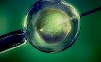 单身到国内私立机构做试管可以吗？提供结婚证是必须的