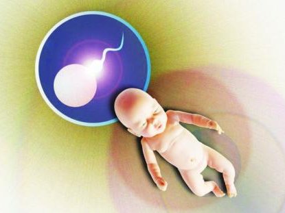 去南昌做三代试管婴儿成功率很高吗？